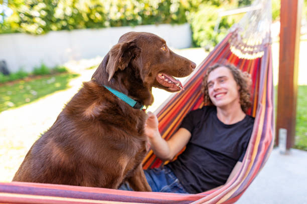 istock Young Man Relaxing with a Dog in a Backyard Hammock 1306432558