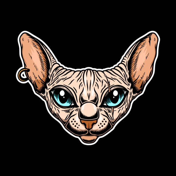Cartoon Character Sphynx Cat Poses Stock Clipart | Royalty-Free | FreeImages