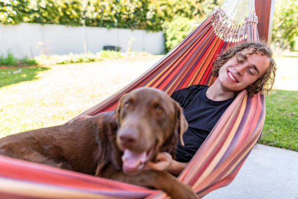 istock Young Man Relaxing with a Dog in a Backyard Hammock 1306433268