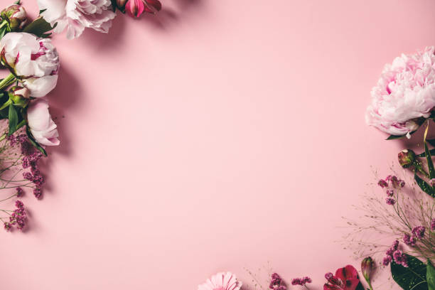 istock Assorted pink flower border on pink background, flat lay 1306434041