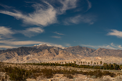 A daylight color photograph of a large number of wind turbines providing renewable energy near Palm Springs, USA