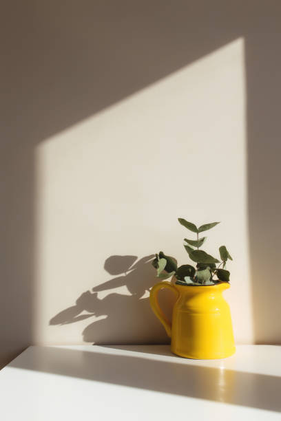 istock Yellow ceramic jug or vase with eucalyptus branches, empty white photo frames 1306435667