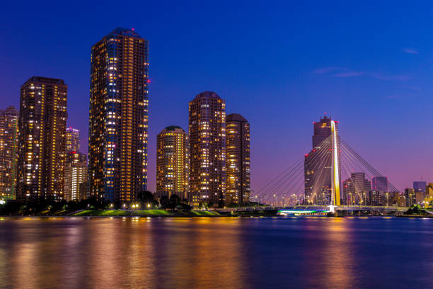 istock Night view in Tokyo, Japan 1306437046