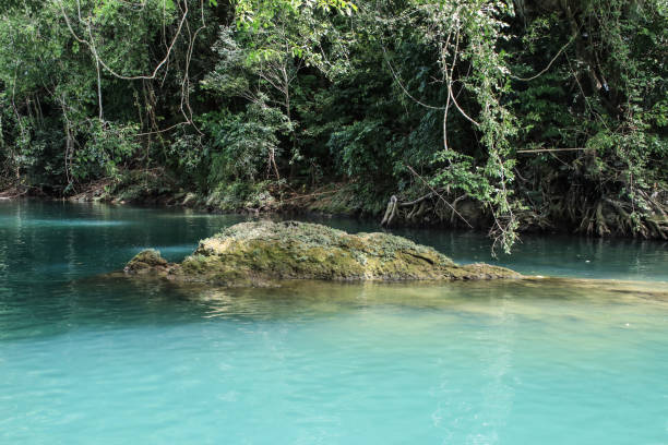 istock Philippines Bohlo Island Loboc River 1306438875