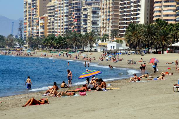 turistas na praia de mágota, málaga, espanha. - tree large group of people sand sunbathing - fotografias e filmes do acervo