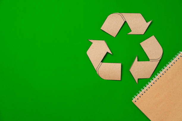 istock Paper recycling concept on green background top view 1306441770