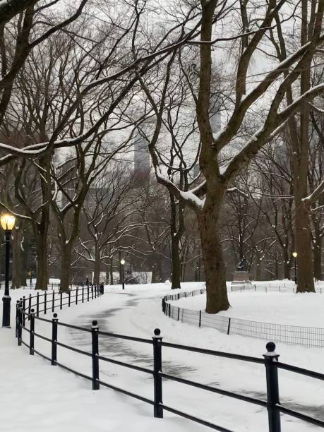 istock Central Park in winter snow 1306443007