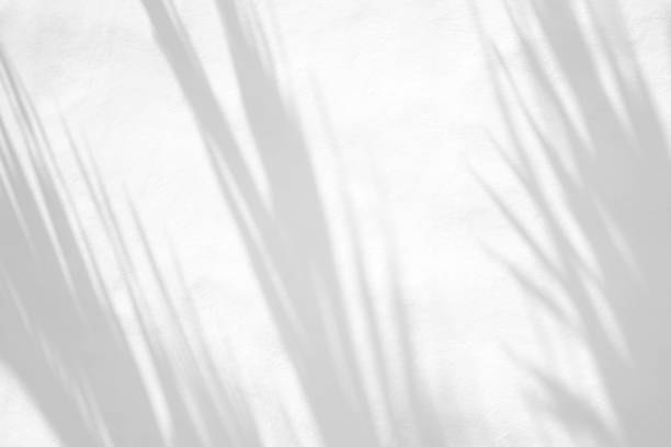 istock Leaves natural shadow overlay on white texture background, for overlay on product presentation, backdrop and mockup, summer seasonal concept 1306445184