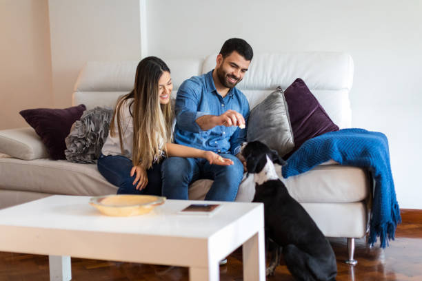 istock Couple at home with their dog 1306447047