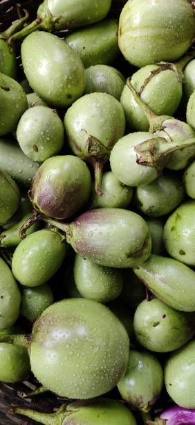 istock Fresh organic vegetables in the market 1306451106