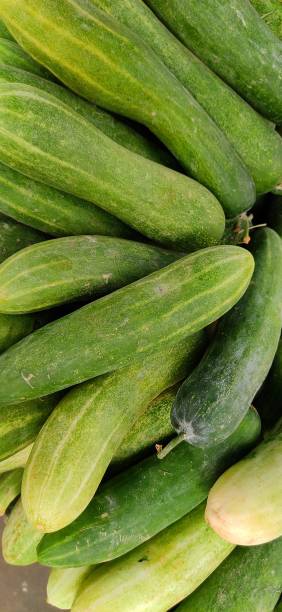 istock Fresh organic vegetables in the market 1306451111