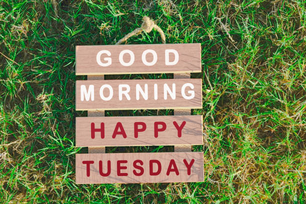 Text on wooden frame laying on green grass. Good morning happy Tuesday stock photo
