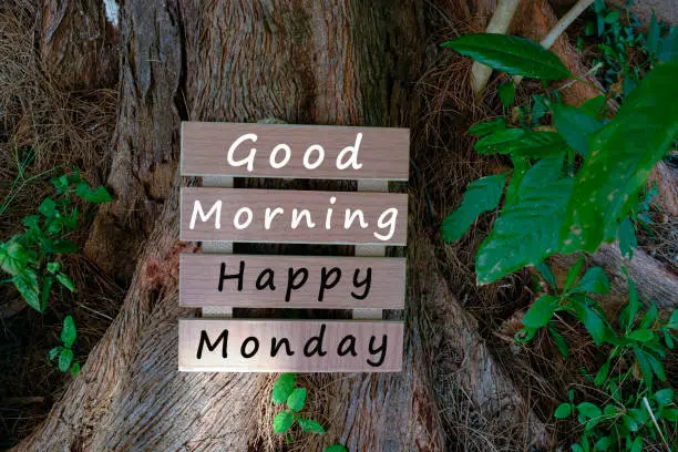 Text on wooden frame laying on tree trump - Good morning happy Monday