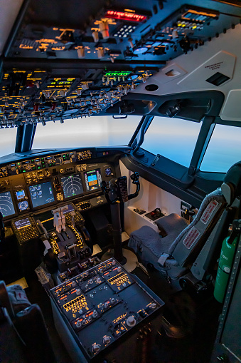 Boeing 737 MAX  flight deck instruments