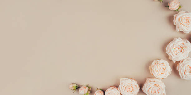 istock Spring background. Rose flowers on a beige background. 1306455009