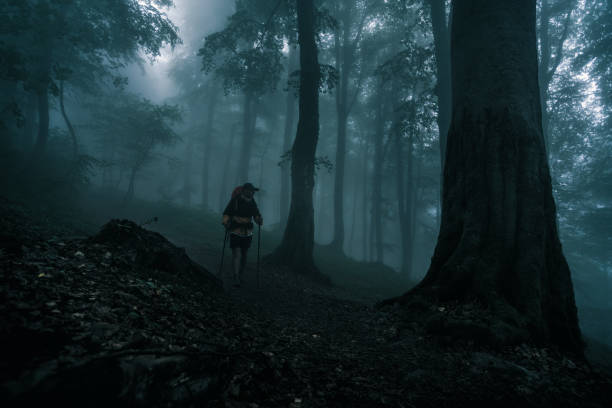 istock Hiker on the walk in the spooky forest 1306456269