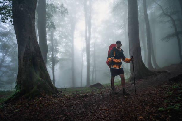 istock Hiker on the walk in the mysterious forest 1306456382