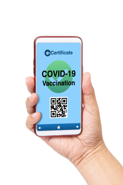 istock Hand holding smartphone shown covid-19 vaccination certification on white background. 1306456495