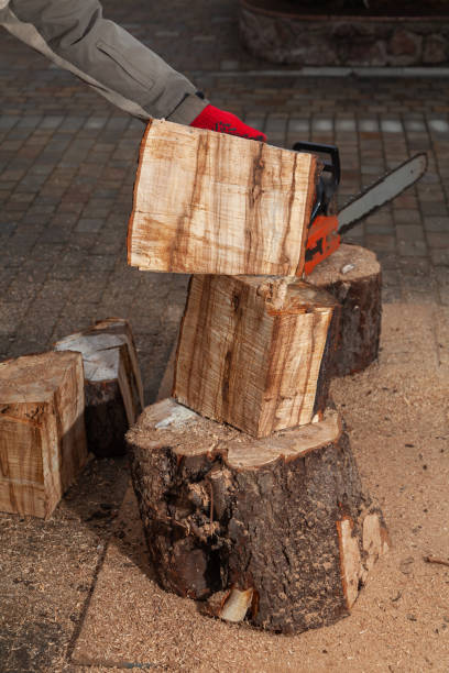istock Pieces of sawn tree trunk stand on large stump 1306456823