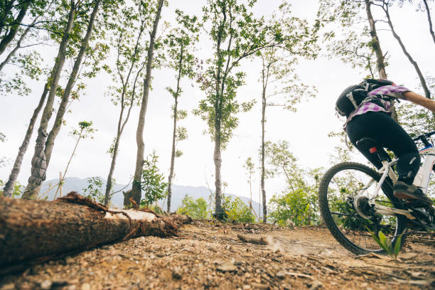 istock Woman cyclist cycling on mountain top forest trail 1306457807