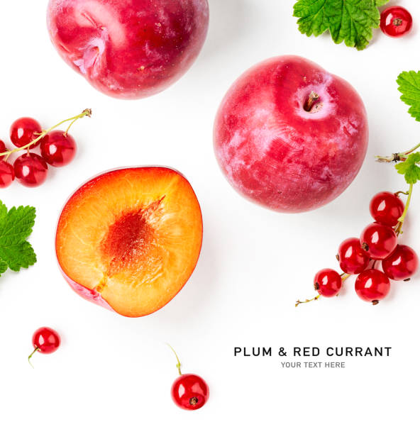 istock Plum fruits and red currant berries creative layout 1306459533