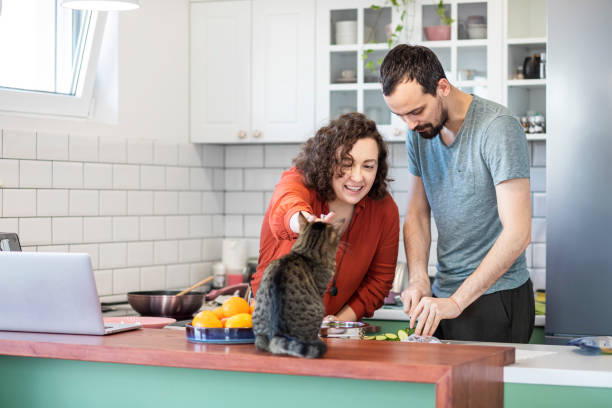 jovem casal vivendo com gato - working at home domestic kitchen laptop computer - fotografias e filmes do acervo