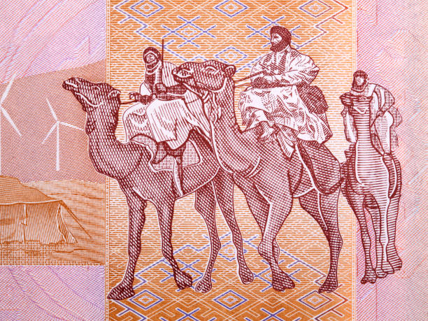 istock Caravan with camels from Moroccan money 1306462869