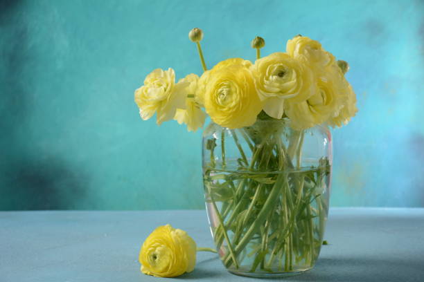 istock Ranunculus asiaticus or Persian buttercup 1306464222
