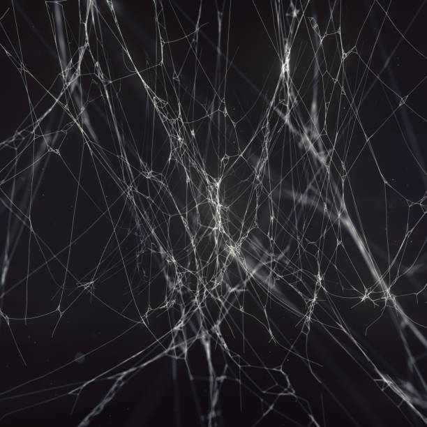 istock Cobweb or spider wed isolated on dark background abstract 3d render illustration 1306464642