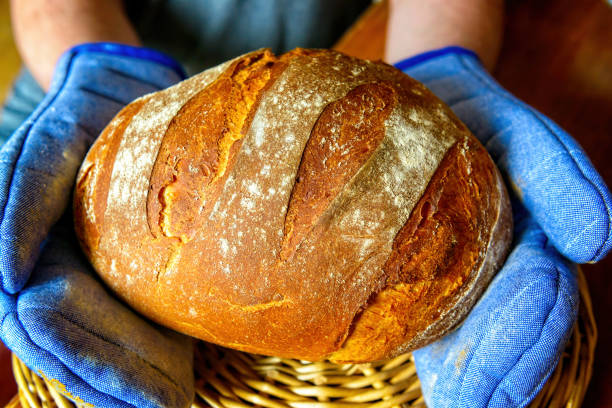 istock Traditional wheat and rye bread in hands 1306471138