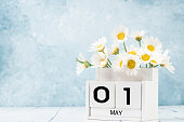 White cube calendar for may decorated with daisy flowers over blue with copy space