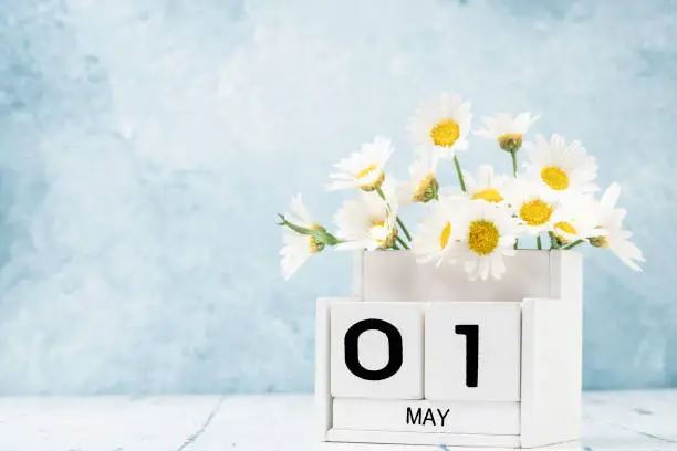 White cube calendar for may decorated with daisy flowers over blue background with copy space