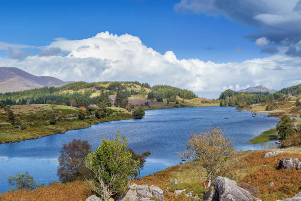 istock Lough Looscaunagh lake, Ireland 1306474910