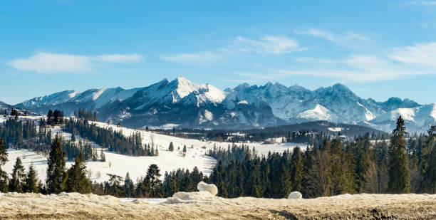 Panorama of Tatra mountains , eastern part, in winter, viewed from a road in Bukowina Tatrzanska in Poland