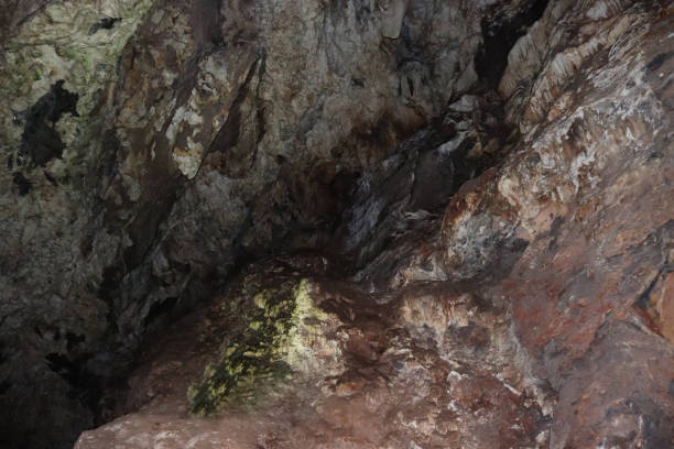 istock A journey inside the ancient Sterkfontein Caves 1306476775