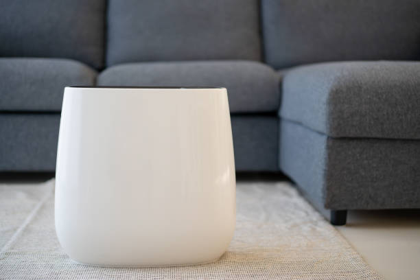 istock Air Purifier in Living Room 1306477049