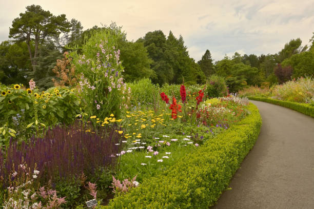 istock The National Botanic Gardens In Dublin, Ireland 1306478564