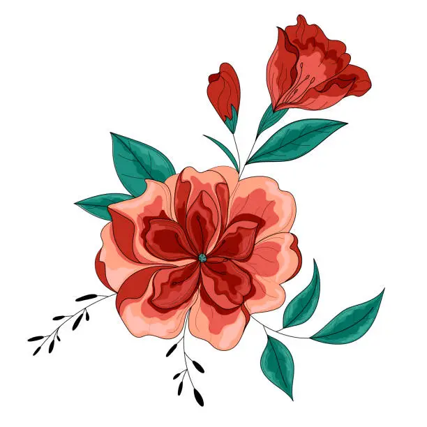 Vector illustration of Peony flower, botanical flower. Bright, beautiful vector flower.