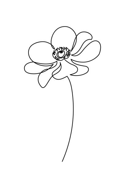 anemone blume - windröschen stock-grafiken, -clipart, -cartoons und -symbole