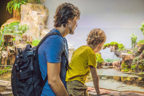 istock Father and son looking at fish in a tunnel aquarium 1306486515