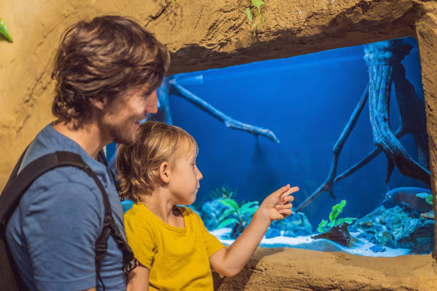 istock Father and son looking at fish in a tunnel aquarium 1306486527