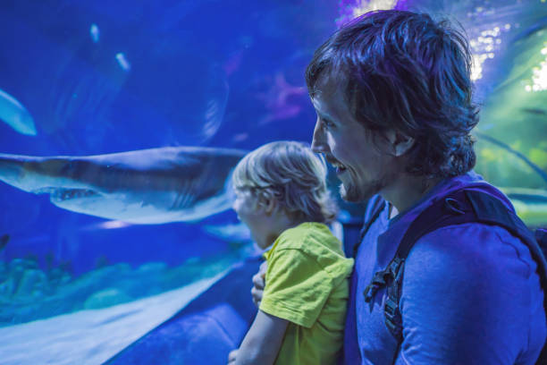 istock Father and son looking at fish in a tunnel aquarium 1306486604