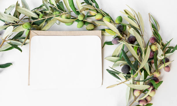 istock Blank paper card with olive branches. Copy space for your text, flat lay, top view 1306490783