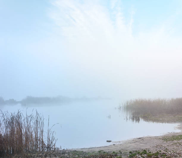 istock Mysterious coast in the fog 1306490913
