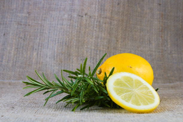 Whole lemon on fresh rosemary twigs, lemon slice isolated on neutral hessian background