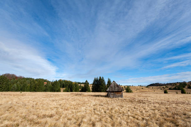 This spectacular remote agriculture field image was taken over Tara National Park, Serbia.