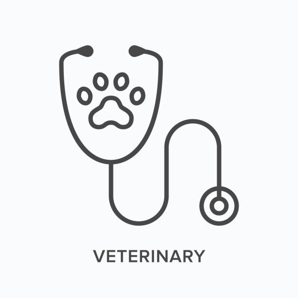 illustrazioni stock, clip art, cartoni animati e icone di tendenza di icona della linea piatta veterinaria. illustrazione vettoriale dello stetoscopio e della zampa. pittogramma lineare sottile nero per l'ospedale veterinario - pet