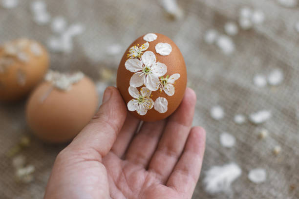istock Hand holding Easter egg decorated with cherry flowers and petals on rustic linen. Eco friendly 1306495983