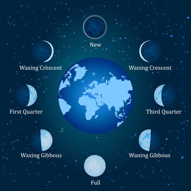 ilustrações de stock, clip art, desenhos animados e ícones de moon phases. relation of the phases of the moon with its revolution around earth. - moon change eclipse cycle