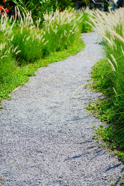 istock Curved Garden Path from a garden 1306500237